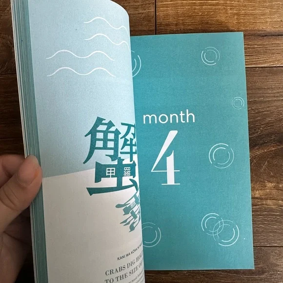 Kakeibo Japanese saving money book - Picture 5 of 5